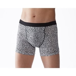 俺のボクサーパンツ ヒョウ柄 2枚組(LLサイズ)  軽失禁用 失禁パンツ・尿漏れパンツ【1107639】