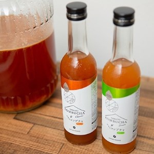 老舗酵素メーカー「大和酵素」が作る、 “本物のコンブチャ”　(280ml×24本)【1125095】