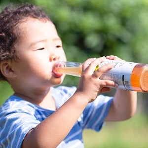 老舗酵素メーカー「大和酵素」が作る、 “本物のコンブチャ”　(280ml×24本)【1125095】