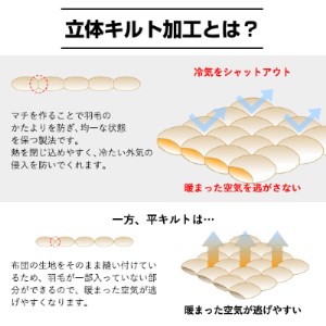 【洗える】春夏用羽毛肌掛け布団シングルダウン90%クリーム2枚セット抗菌防臭防ダニ立体キルト【1227674】