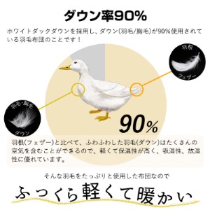 【洗える】春夏用羽毛肌掛け布団シングルダウン90%クリーム2枚セット抗菌防臭防ダニ立体キルト【1227674】