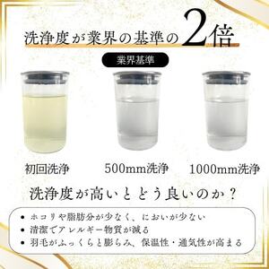 〈超長綿100%60番手サテン織〉羽毛布団 本掛け クイーン ホワイトダックダウン93%Dp380【1144983】