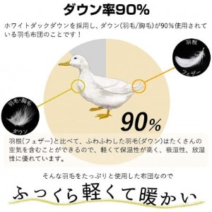 羽毛布団シングル二枚合わせ 合掛布団0.8kg/肌掛布団0.3kg オール