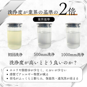 【洗える】羽毛肌掛け布団ダブルダウン0.5kg クリーム 抗菌防臭防ダニ 羽毛布団 ダウンケット【1399347】