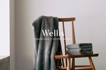 Wellis フルセット（009_5034）