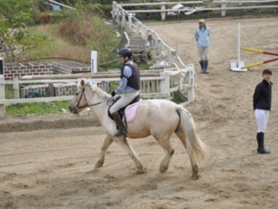 乗馬クラブFRTの乗馬教室チケット（022_5002）