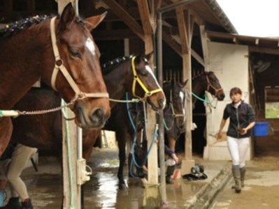 乗馬クラブFRTの乗馬教室チケット（022_5002）