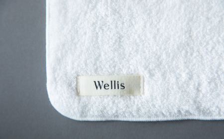 Wellis【極上の肌心地】タオルハンカチ2枚 ナチュラルホワイト(009_5128)