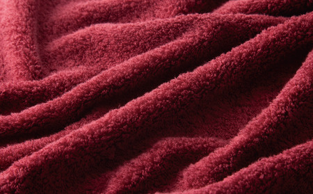 Wellis【極上の肌心地】タオルハンカチ2枚 ボルドー(009_5131)