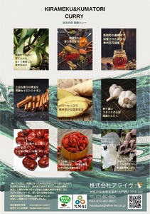 レトルトカレー KIRAMEKU CURRY（チキン）１０個（021_5005）