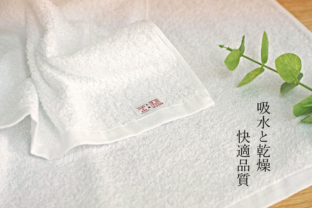 泉州ミニバスタオル2枚セット（037_5004）