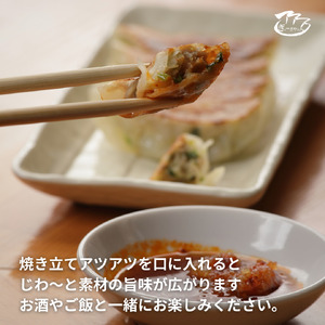 ㉑ぎょーざやさんのえび餃子18個入り(027_5023)※北海道・沖縄・離島への配送不可