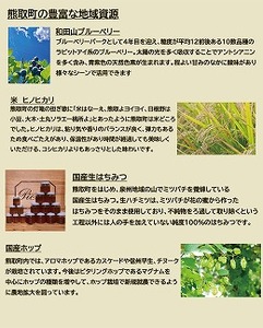 Kuma Tsumugi クラフトビ－ル（飲み比べ５種＋１本　計６本セット）（041_5001）