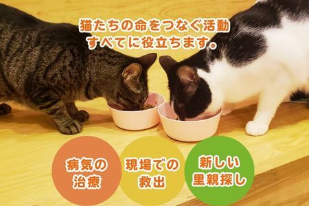 保護猫活動まるごと応援チケット（047_5001）