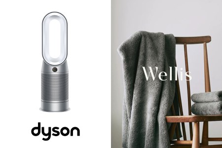 Wellis×Dyson Wellis Dyson Purifier Hot+Cool™空気清浄ファンヒーター ...