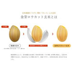 【4kg】金芽ロウカット玄米 4kg(2kg×2袋)ふっくら柔らかい美味しさ!【1505276】