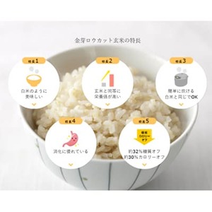 【4kg】金芽ロウカット玄米 4kg(2kg×2袋)ふっくら柔らかい美味しさ!【1505276】