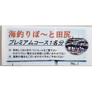 海釣りぽ~と田尻 釣り堀体験 (プレミアムコース)【1519072】