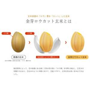 【8kg】金芽ロウカット玄米 8kg(2kg×4袋)ふっくら柔らかい美味しさ!【1556849】