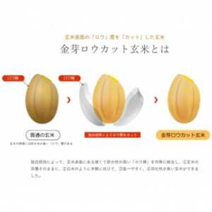 【毎月定期便】金芽ロウカット玄米4kg(2kg×2袋)ふっくら柔らかい美味しさ!全3回【4056805】