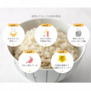 【毎月定期便】金芽ロウカット玄米4kg(2kg×2袋)ふっくら柔らかい美味しさ!全5回【4078143】