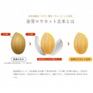 【毎月定期便】金芽ロウカット玄米4kg(2kg×2袋)ふっくら柔らかい美味しさ!全5回【4078143】