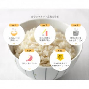 【2ヵ月毎定期便】金芽ロウカット玄米 4kg(2kg×2袋)ふっくら柔らかい美味しさ!全3回【4078161】