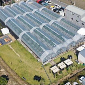 【土日祝限定】食べ放題!いちご収穫体験ペアチケット Refarm YOSHIMI 370【1697686】