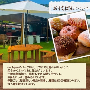 おまかせベーグル10個セット_ パン ぱん_【配送不可地域:離島】【1262700】