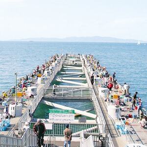 岬町海釣り公園・とっとパーク小島利用券【11枚セット】【1267397】