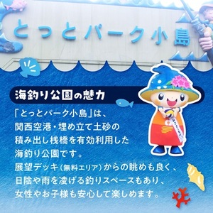 岬町海釣り公園・とっとパーク小島利用券【大人用3枚セット】_旅行券・チケット  入場券・優待券 _【1267399】