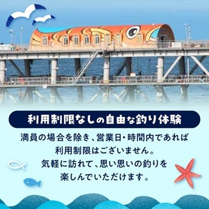 岬町海釣り公園・とっとパーク小島利用券【大人用3枚セット】_旅行券・チケット  入場券・優待券 _【1267399】