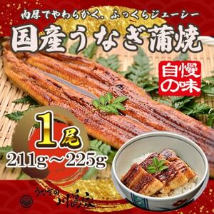 【冷凍1尾】岬町自慢の味　うなぎの川島家　国産うなぎ蒲焼　大サイズ(211g～225g)特製タレ付き_魚介・海産物 うなぎ  ウナギ 鰻_【配送不可地域：離島】【1488339】