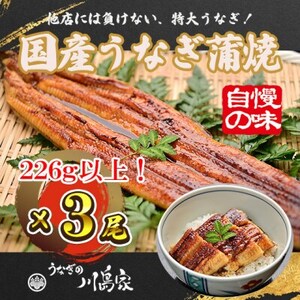 【冷凍3尾】岬町自慢の味　うなぎの川島家　国産うなぎ蒲焼　特大サイズ(226g以上)特製タレ付き_魚介・海産物 うなぎ  ウナギ 鰻_【配送不可地域：離島】【1488346】