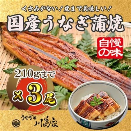 【冷凍3尾】岬町自慢の味　うなぎの川島家　国産うなぎ蒲焼　中サイズ(195～210g)特製タレ付き_魚介・海産物 うなぎ  ウナギ 鰻_【配送不可地域：離島】【1488338】 9,750円