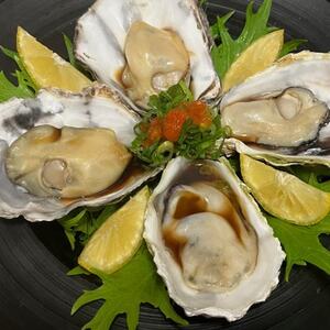 《Mサイズ20個入り:約41～60g/個》生食用真牡蠣　深日オイスターファーム直送　専用ナイフ付き_魚介・海産物 牡蠣（カキ） 貝 かき_【配送不可地域：離島・北海道・沖縄県】【1603245】