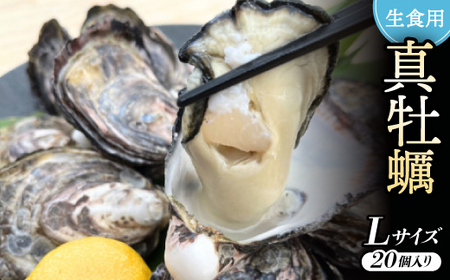 《Lサイズ20個入り:約61～80g/個》生食用真牡蠣　深日オイスターファーム直送　専用ナイフ付き_魚介・海産物 牡蠣（カキ） 貝 かき_【配送不可地域：離島・北海道・沖縄県】【1603254】