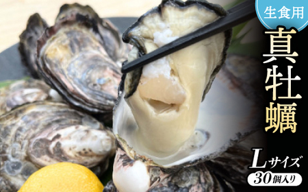 《Lサイズ30個入り:約61～80g/個》生食用真牡蠣　深日オイスターファーム直送　専用ナイフ付き_魚介・海産物 牡蠣（カキ） 貝 かき_【配送不可地域：離島・北海道・沖縄県】【1603255】