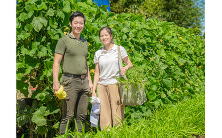 河南町新鮮アジア野菜「お試しセット」 No.331