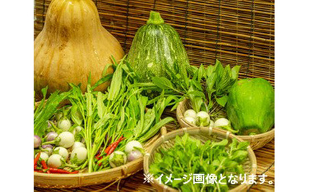 No.334 河南町新鮮アジア野菜「大満足セット」