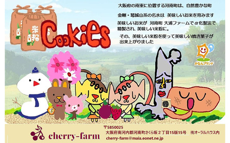 かなんブランド 米粉cookies ふるさとセットS 1箱 No.400