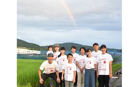 いちじく 朝採り 【2026年配送】　約1kg ／ 無花果 イチジク フルーツ くだもの 果物 果実 朝採れ 新鮮 農家直送 河南町産 大阪府 特産品 No.330