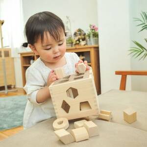 ひのきのおもちゃIKONIH(アイコニー)の知育玩具　ドロップボックス【1437397】