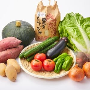 【5種以上6～7kg】金剛山の清水で育ったお米と旬食材セット詰合せ【配送不可地域：離島】【1539844】