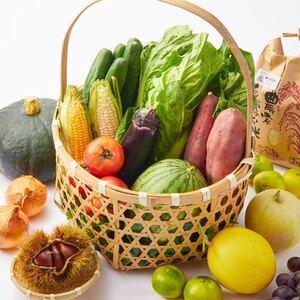 【5種以上6～7kg】金剛山の清水で育ったお米と旬食材セット詰合せ【配送不可地域：離島】【1539844】