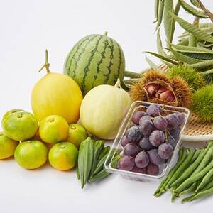 【5種以上6～7kg】金剛山の清水で育ったお米と旬食材セット詰合せ【配送不可地域：離島】【1539844】