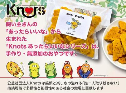 犬用クッキースペシャルセット（クッキー５種類（にんじん・カッテージチーズ・かぼちゃ・さつまいも・なっとう）＋ひょうごニホンジカミート２袋）