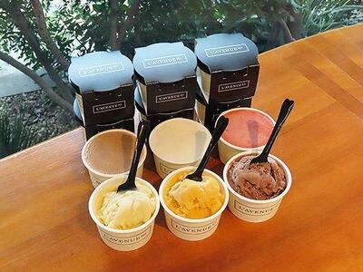 【着日指定必須】L’AVENUE（ ラヴニュー ）グラス エ ソルベ 〈アイスクリーム＆シャーベット 12個入り〉GLACE ET SORBET 12PIECE