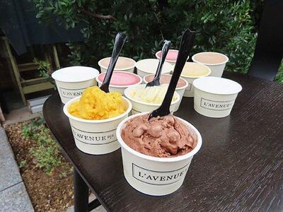 【着日指定必須】L’AVENUE（ ラヴニュー ）グラス エ ソルベ 〈アイスクリーム＆シャーベット 12個入り〉GLACE ET SORBET 12PIECE