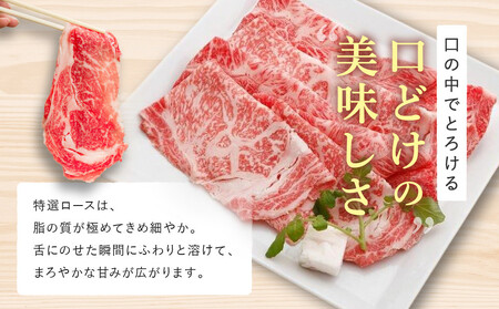 神戸牛特選ロース　すき焼き/しゃぶしゃぶ用　450g